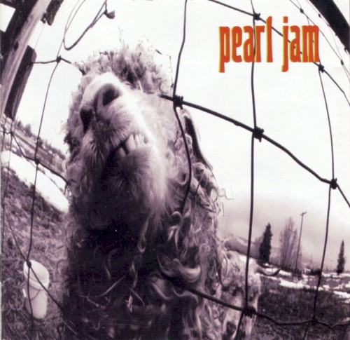 Pearl Jam - Vs.